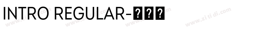 INTRO REGULAR字体转换